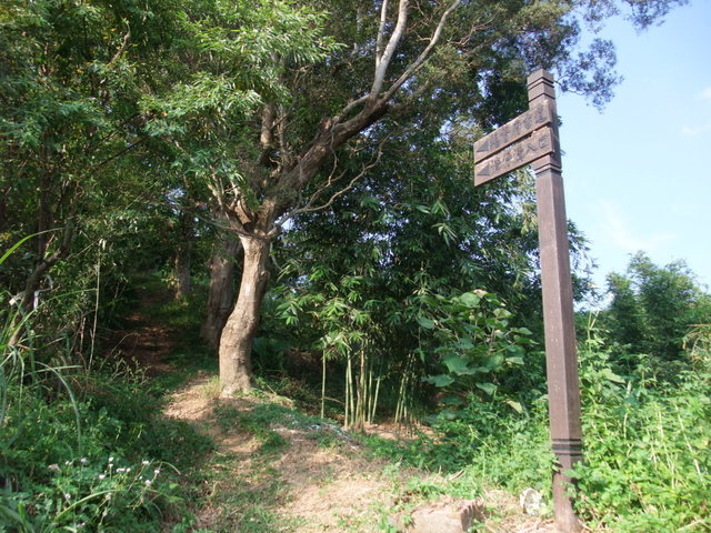 桃園縣 大溪鎮 總督府步道 (111).JPG