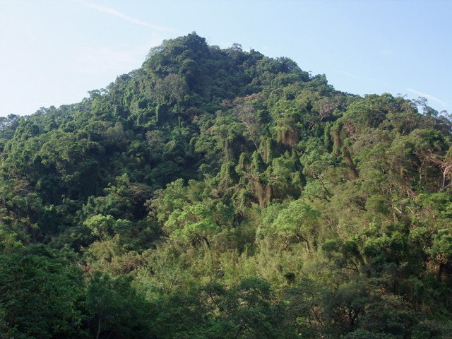 桃園縣 大溪鎮 總督府步道 (147).JPG