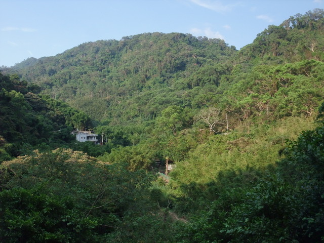 桃園縣 大溪鎮 總督府步道 (146).JPG