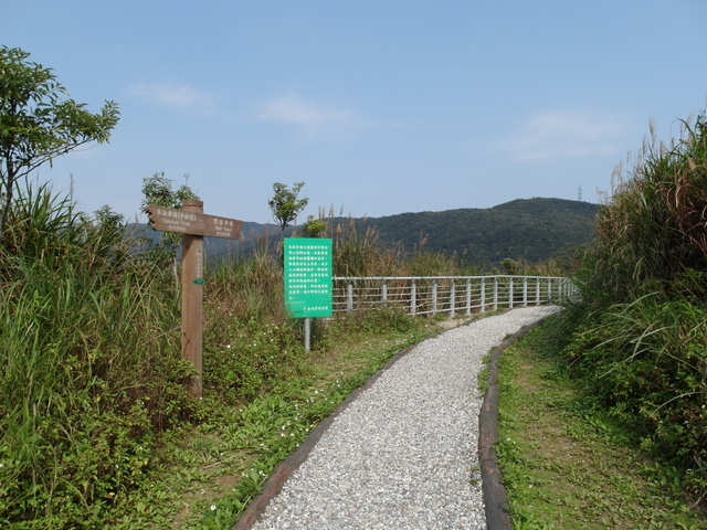 大崙尾山 (31).JPG