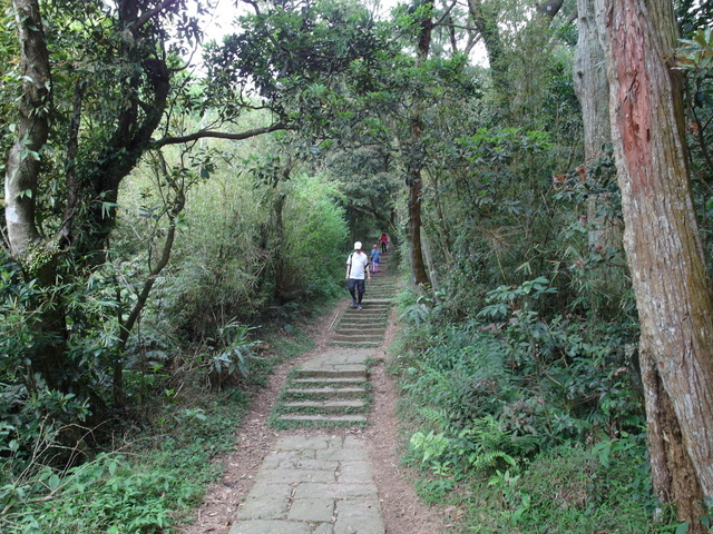 清天宮步道 (34).JPG