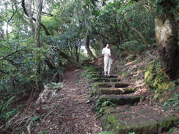 興福寮步道 (10).JPG