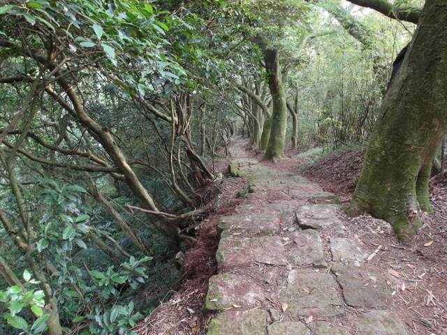 興福寮步道 (20).JPG