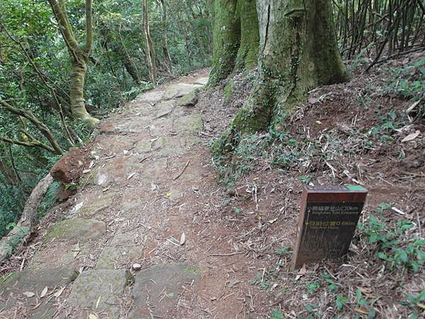 興福寮步道 (21).JPG