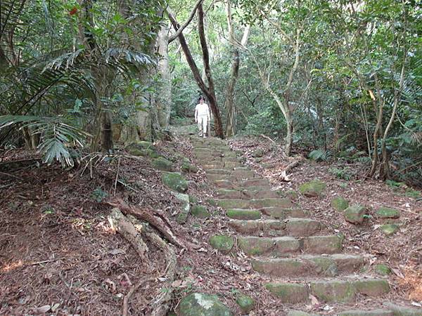 興福寮步道 (26).JPG