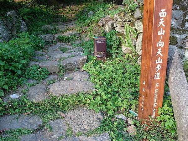 興福寮步道 (37).JPG