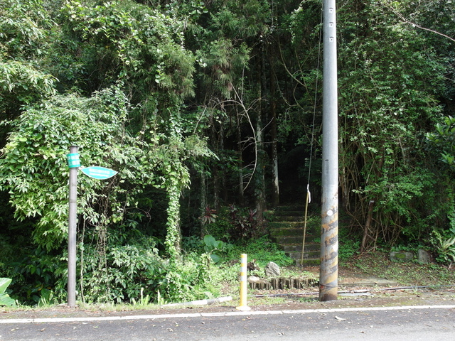 獅公髻尾山、粗坑口健行步道 (8).JPG