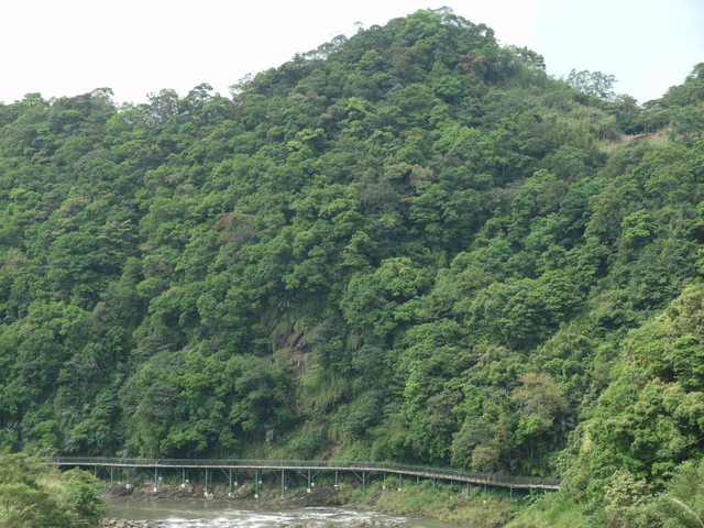 獅公髻尾山、粗坑口健行步道 (10).JPG