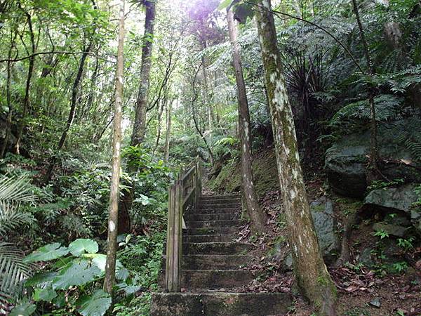 獅公髻尾山、粗坑口健行步道 (13).JPG