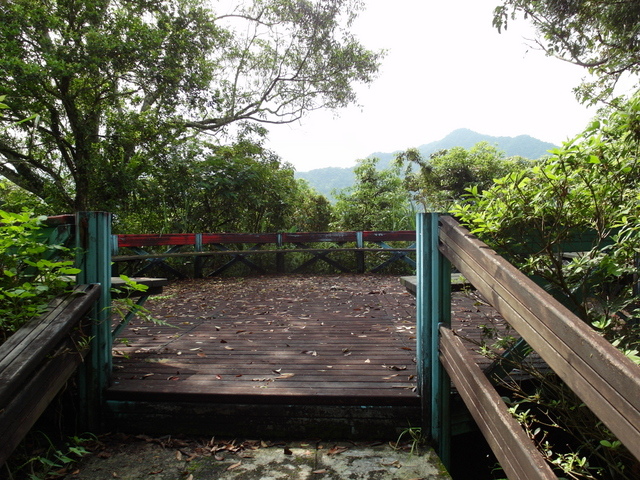 獅公髻尾山、粗坑口健行步道 (18).JPG