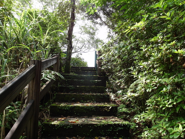 獅公髻尾山、粗坑口健行步道 (17).JPG