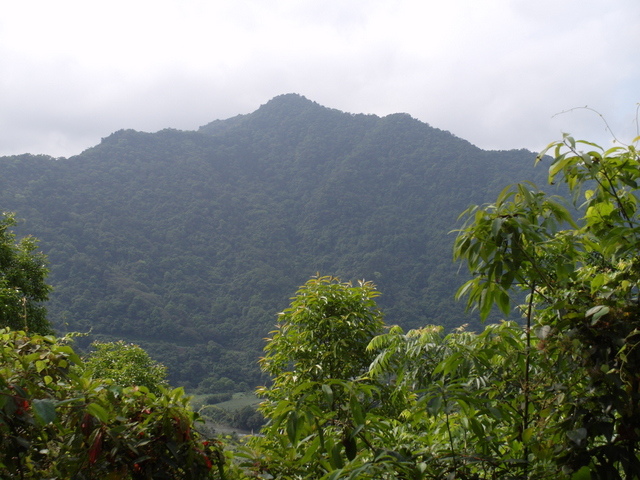 獅公髻尾山、粗坑口健行步道 (19).JPG