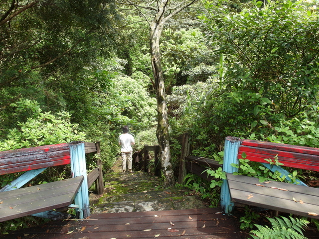 獅公髻尾山、粗坑口健行步道 (25).JPG