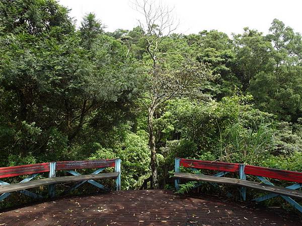 獅公髻尾山、粗坑口健行步道 (22).JPG