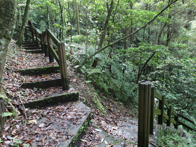 獅公髻尾山、粗坑口健行步道 (27).JPG