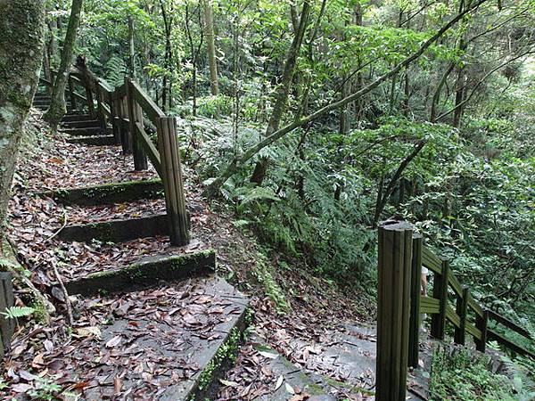 獅公髻尾山、粗坑口健行步道 (27).JPG