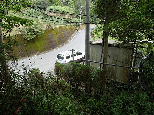 獅公髻尾山、粗坑口健行步道 (39).JPG