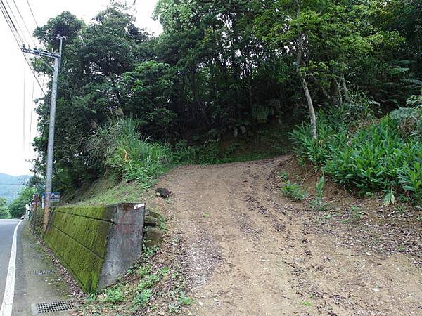 獅公髻尾山、粗坑口健行步道 (47).JPG