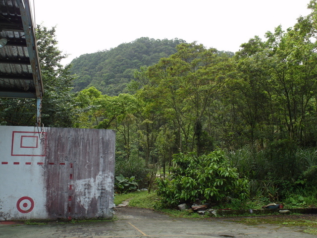 獅公髻尾山、粗坑口健行步道 (45).JPG