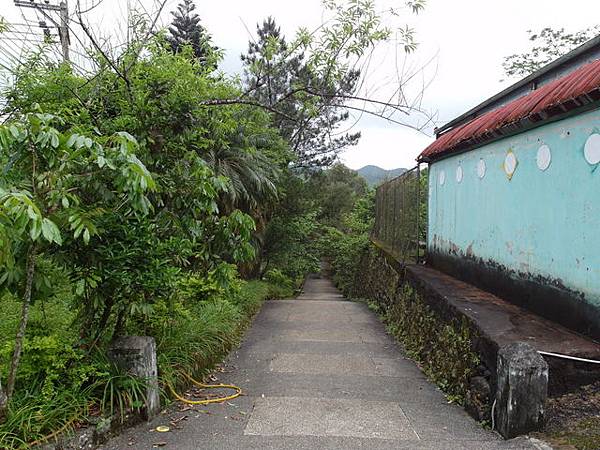 獅公髻尾山、粗坑口健行步道 (49).JPG