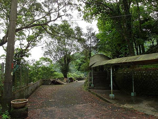 獅公髻尾山、粗坑口健行步道 (51).JPG