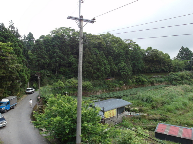 獅公髻尾山、粗坑口健行步道 (64).JPG