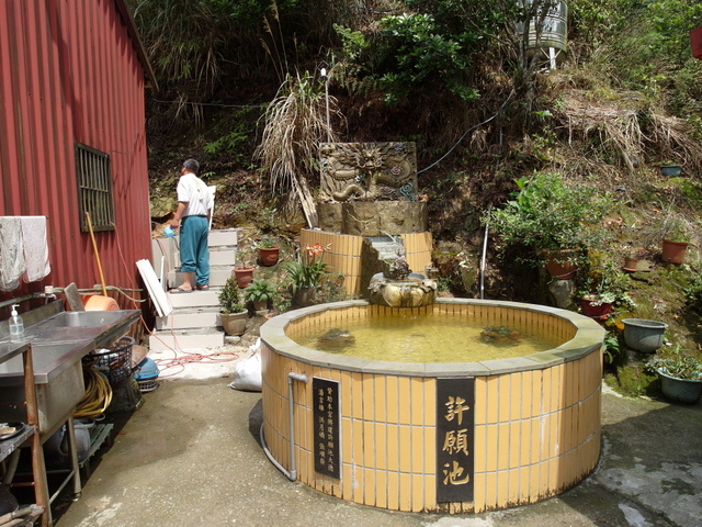 獅公髻尾山、粗坑口健行步道 (66).JPG