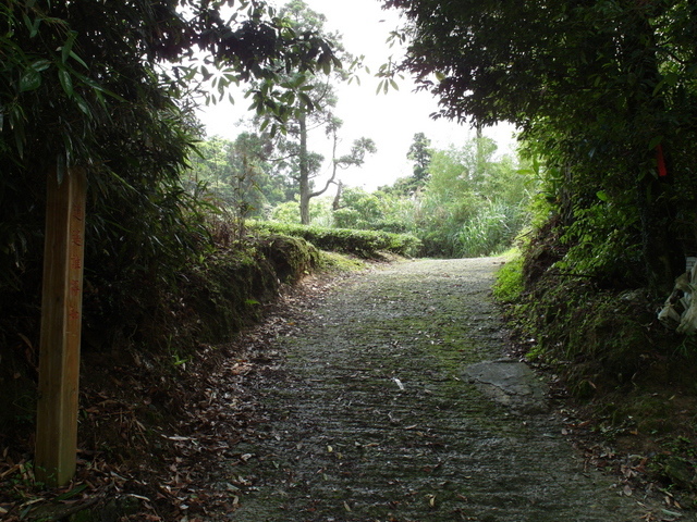 獅公髻尾山、粗坑口健行步道 (69).JPG