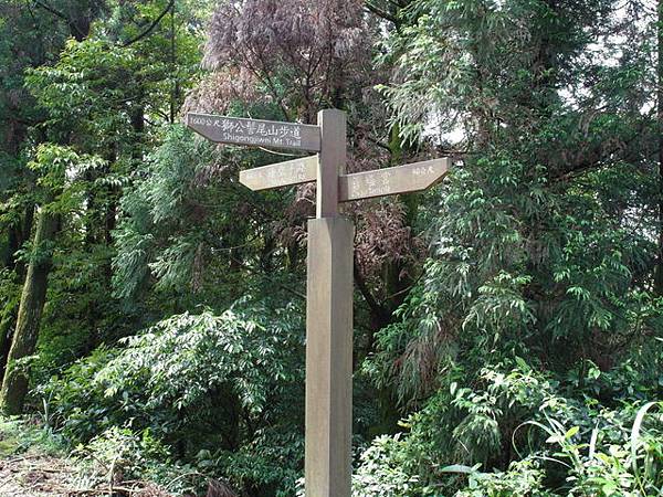 獅公髻尾山、粗坑口健行步道 (68).JPG