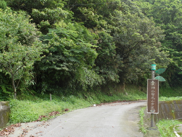 獅公髻尾山、粗坑口健行步道 (78).JPG