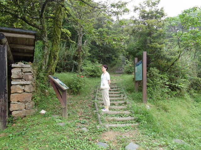 獅公髻尾山、粗坑口健行步道 (82).JPG