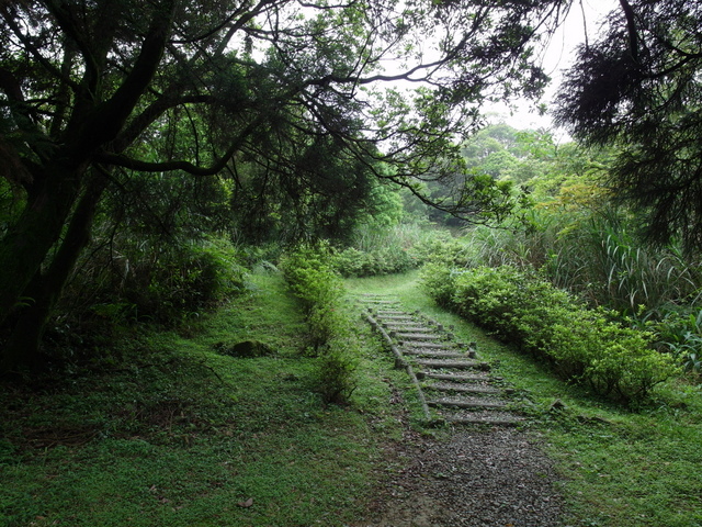 獅公髻尾山、粗坑口健行步道 (86).JPG