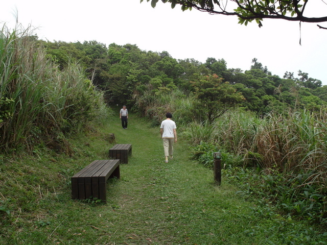 獅公髻尾山、粗坑口健行步道 (92).JPG