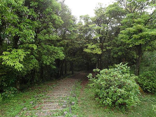 獅公髻尾山、粗坑口健行步道 (113).JPG