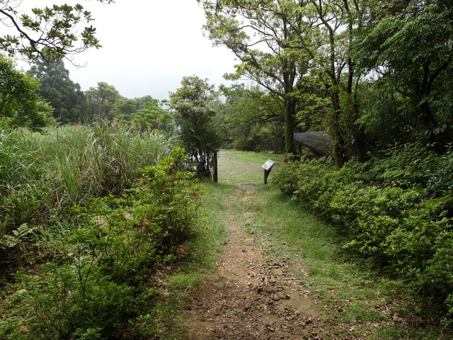 獅公髻尾山、粗坑口健行步道 (116).JPG