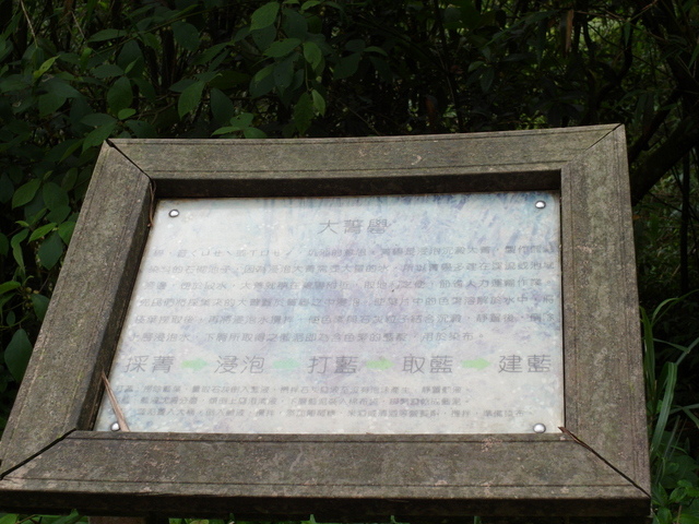 獅公髻尾山、粗坑口健行步道 (120).JPG