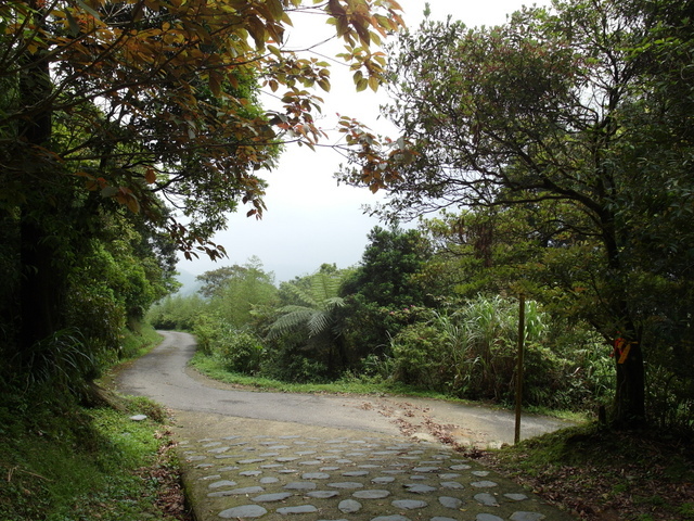 獅公髻尾山、粗坑口健行步道 (123).JPG