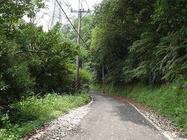 獅公髻尾山、粗坑口健行步道 (133).JPG