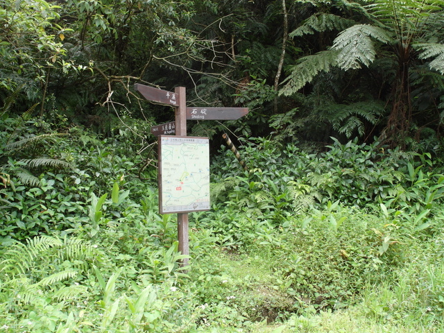 獅公髻尾山、粗坑口健行步道 (136).JPG