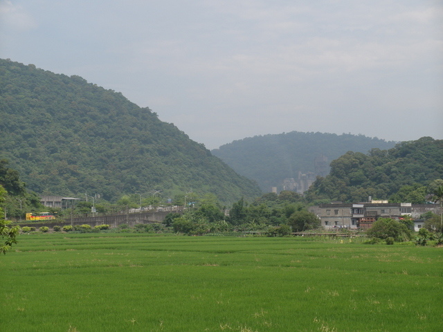 蘇澳 七星嶺、蘇澳山 (8).JPG