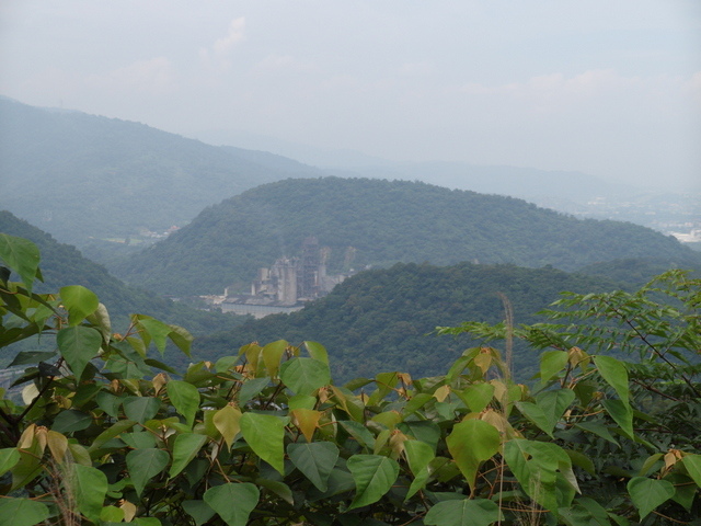 蘇澳 七星嶺、蘇澳山 (25).JPG