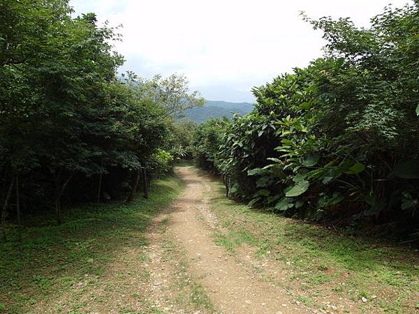 蘇澳 七星嶺、蘇澳山 (37).JPG