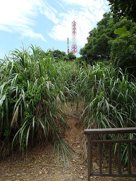 蘇澳 七星嶺、蘇澳山 (99).JPG