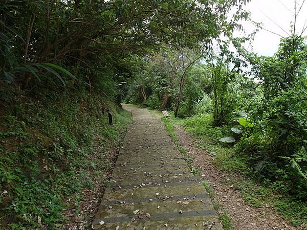 蘇澳 七星嶺、蘇澳山 (106).JPG