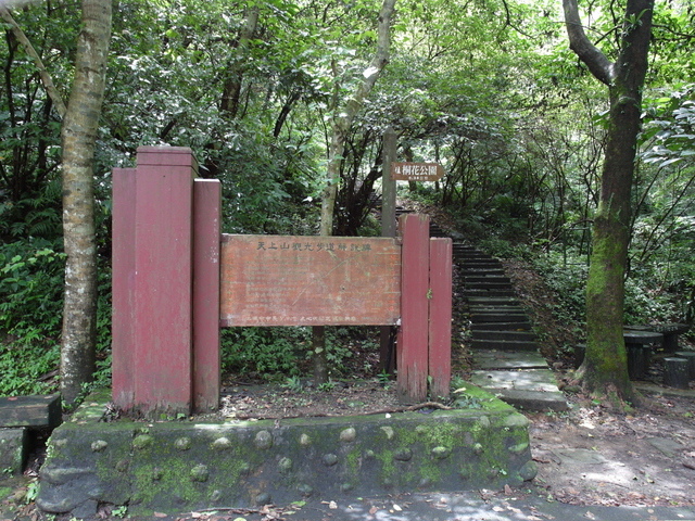 新北市 土城區 承天禪寺、天上山 (48).JPG