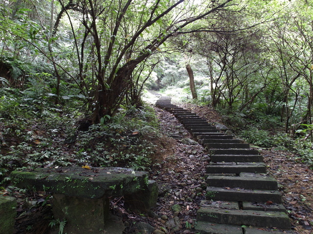 新北市 土城區 承天禪寺、天上山 (50).JPG