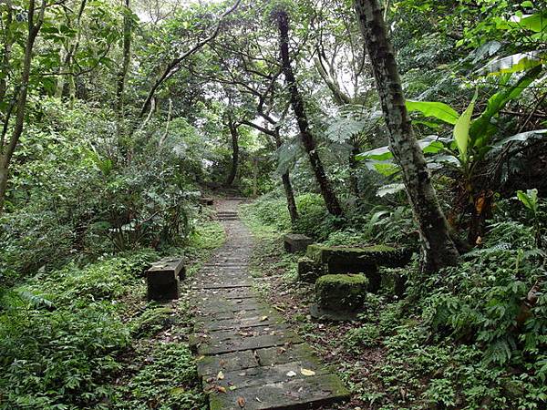 新北市 土城區 承天禪寺、天上山 (51).JPG