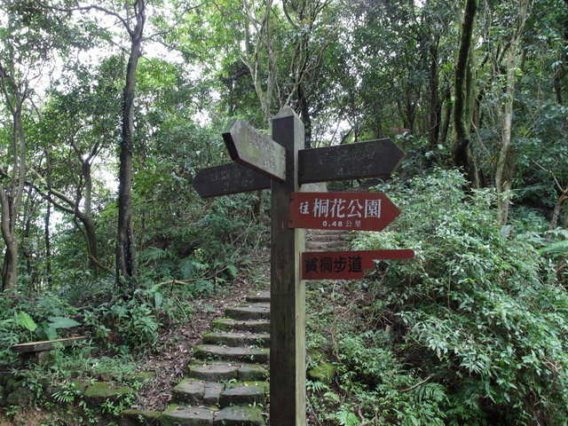 新北市 土城區 承天禪寺、天上山 (53).JPG