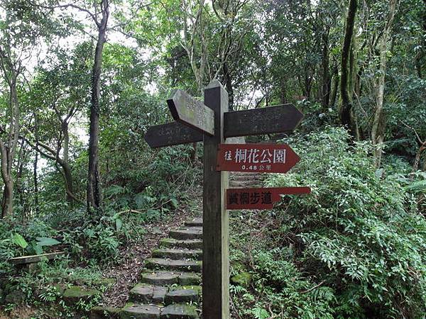 新北市 土城區 承天禪寺、天上山 (53).JPG