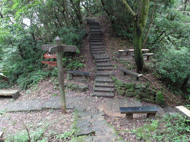 新北市 土城區 承天禪寺、天上山 (54).JPG